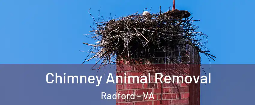 Chimney Animal Removal Radford - VA