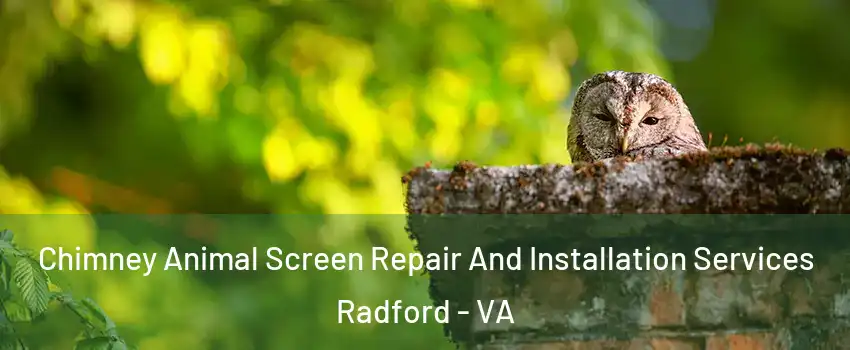 Chimney Animal Screen Repair And Installation Services Radford - VA